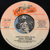 James Brown - Get Up Offa That Thing b/w Hustle (Dead On It) - Collectables #4429 - Funk