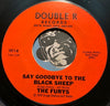 Furys - Say Goodbye To The Black Sheep b/w Suburbia Suburbia - Double R #1011 - Punk - Picture Sleeve