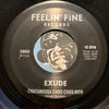 Exude - Chattanooga Choo Choo b/w If You See Kay - Feelin Fine #8560 - Punk - Picture Sleeve - 80's