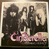 Cinderella - Coming Home b/w Take Me Back - Mercury #872 982 - Rock n Roll - 80's - Picture Sleeve