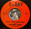 Richard Berry & Soul Searchers - Ain't That Somethin pt.1 b/w pt.2 - C-Ray #6706 - R&B Soul - R&B Mod