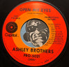 Ashley Brothers - Open My Eyes b/w same - Capitol #5022 - Psych Rock