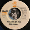 Blossoms - Walking On Air b/w same - Epic #50434 - Modern Soul