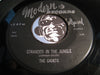 Cadets - Stranded In The Jungle b/w I Want You - Modern #994 - Doowop
