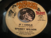 Spanky Wilson - Little Things Mean A Lot b/w If I Could - Mothers Records & Snarf Company #1308