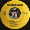 Crossfire Choir - Disappointment b/w What's It To Ya - Pounderecords #21461 - Punk
