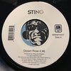 Sting - Desert Rose b/w After The Rain Has Fallen - A&M #0694974047 - 2000's