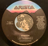 Lisa Stansfield - All Around The World b/w Affection - Arista #9928 - Picture Sleeve - 80's - Rock n Roll