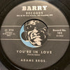 Adams Bros - You're In Love b/w Burning In Pain - Barry #102 - R&B