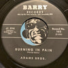Adams Bros - You're In Love b/w Burning In Pain - Barry #102 - R&B