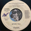 Jethro Tull - Steel Monkey b/w Down At The End Of Your Road - Chrysalis #43172 - Rock n Roll - 80's - Picture Sleeve