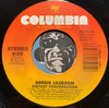 Rebbie Jackson - Plaything b/w Distant Conversation - Columbia #38-07685 - Picture Sleeve - 80's - Funk Disco