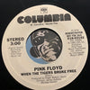 Pink Floyd - When The Tigers Broke Free b/w same - Columbia #X18 03142 - Rock n Roll - Picture Sleeve