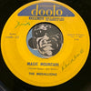 Medallions - Magic Mountain b/w 59 Volvo - Dooto #446 - Doowop - R&B Rocker