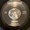 Exude - Chattanooga Choo Choo b/w If You See Kay - Feelin Fine #8560 - Punk - Picture Sleeve - 80's