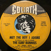 Surf Bunnies - Surf City High b/w Met The Boy I Adore - Goliath #1353 - Surf - Teen