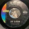 Jan & Dean - Ride The Wild Surf b/w The Anaheim, Azusa & Cucamonga Sewing Circle, Book Review And Timing Association - Liberty #55724 - Surf - Picture Sleeve