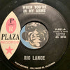 Ric Lance - I Didn't Know b/w When You're In My Arms - Plaza #501 - Teen