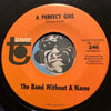 The Band Without A Name - Turn On Your Lovelight b/w A Perfect Girl - Tower #246 - Garage Rock