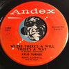 Kylo Turner - I Need Your Love b/w Where There's A Will There's A Way - Andex #4027 - R&B - Doowop