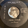 Tenison Stephens - Where Would You Be b/w Can't Take My Eyes Off You - Aries #5005 - Northern Soul