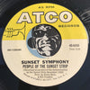 Sonny's Group / Sunset Symphony - Trippin b/w People Of The Sunset Strip - Atco #6458 - Rock n Roll - Psych Rock