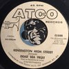 Dead Sea Fruit - Kensington High Street b/w Put Another Record On Luv - Atco #6489 - Psych Rock