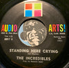Incredibles - All Of A Sudden b/w Standing Here Crying - Audio Arts #60017 - Northern Soul - Sweet Soul