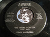 King Hannibal - The Truth Shall Make You Free b/w It's What You Do - Aware #027 - Funk