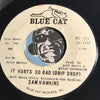 Sam Hawkins - I Know It's All Right b/w It Hurts So Bad (Drip Drop) - Blue Cat #121 - R&B Soul