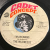 Wildweeds - Happiness Is Just An Illusion b/w I'm Dreaming - Cadet Concept #7004 - Northern Soul - Psych Rock