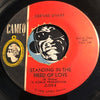 Dee Dee Sharp - I Really Love You b/w Standing In The Need Of Love - Cameo #375 - Northern Soul - East Side Story