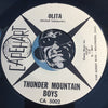 Thunder Mountain Boys - The Girl In The Wood b/w Olita - Capehart #5002 - Country