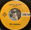 Chantels - Look In My Eyes b/w Glad To Be Back - Carlton #555 - Girl Group - Doowop