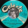Ray Agee - I'm Not Looking Back b/w Baby's Coming Home - Celeste #610 - R&B Soul