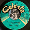 Ray Agee - I Am The Gambler b/w You Can't Hide A Heartache - Celeste #612 - R&B Soul