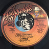 Cameo - Shake Your Pants b/w same - Chocolate City #3210 - Funk