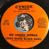 Chico David Blues Band - Wait A Minute Baby b/w Big Legged Woman - Cynjoe #7537 - Blues - Funk