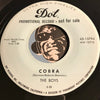 Barbara & The Boys - Hooty Sapperticker b/w Cobra - Dot #15794 - Surf - Novelty - Rock n Roll