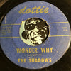 Shadows - Wonder Why b/w Tell This Lonely Heart Goodbye - Dottie #1006 - Teen - Doowop