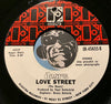 Doors - Hello I Love You b/w Love Street - Elektra #45635 - Rock n Roll