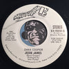 Dana Cooper - Jesse James b/w The Singer - Elektra #45859 - Rock n Roll