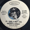 Halee's Comet - From A Parachute b/w All I Want Is What's Real - Epic #10207 - Psych Rock