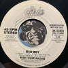 Miami Sound Machine - Bad Boy b/w same - Epic #34-05805 - 80's - Latin