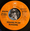 Blossoms - Walking On Air b/w same - Epic #50434 - Modern Soul