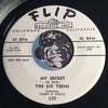 Six Teens feat. Trudy & Louise - My Secret b/w Stop Playing Ping Pong (With My Little Heart) - Flip #249 - Doowop - Girl Group