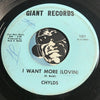 Chylds - Hay Girl b/w I Want More (Lovin) - Giant #101 - Garage Rock