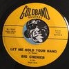 Big Chenier - Let Me Hold Your Hand b/w The Dog & His Puppies - Goldband #1131 - R&B Blues