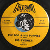 Big Chenier - Let Me Hold Your Hand b/w The Dog & His Puppies - Goldband #1131 - R&B Blues