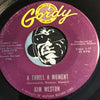 Kim Weston - I'll Never See My Love Again b/w A Thrill A Moment - Gordy #7041 - Northern Soul - Motown